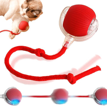 Rolling Ball Toys