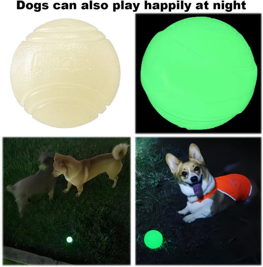 Luminous Balls for Pets