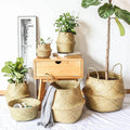 Luanqi Wicker Basket Toy Organizer Folding Rattan Seagrass Storage Basket Laundry Woven Basket Plant Flower Pot for Home Garden