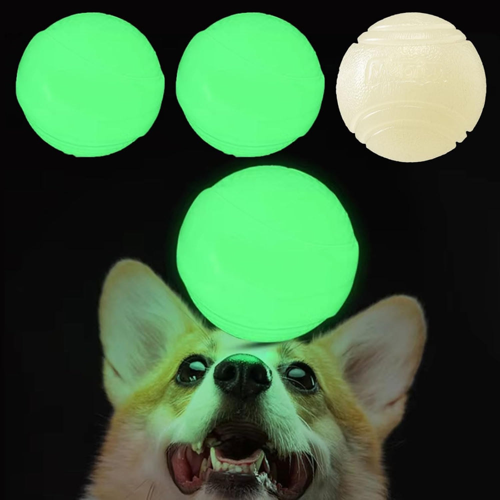 Luminous Balls for Pets