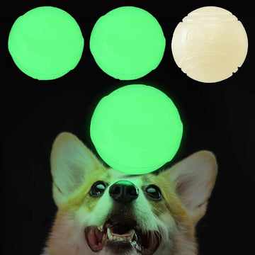 Luminous Balls for Pets