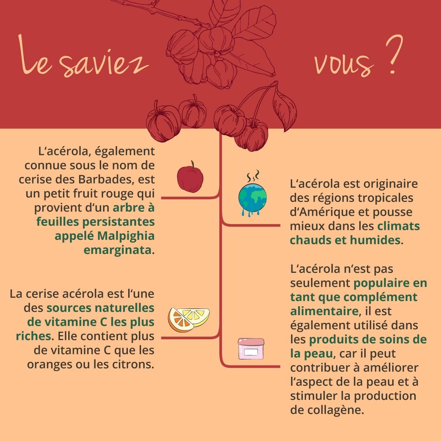 Acerola Vitamine C BIO ® | UNIQUE : 100% NATURELLE - Sans Additifs | Extraction En FRANCE | 180 Gélules | 1060 Mg D’Extrait Par Dose | VEGAN