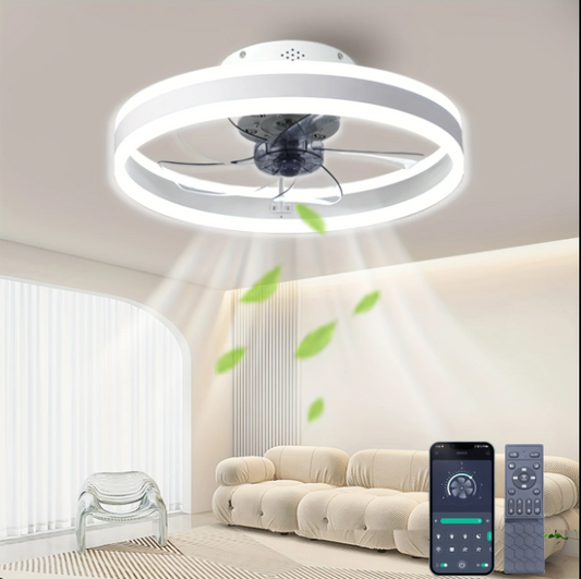 Ventilateur de plafond avec lumière